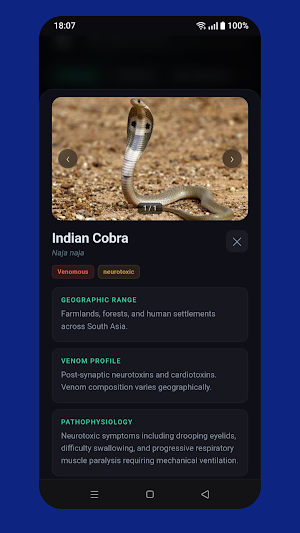 Snake Explorer Screenshot 3