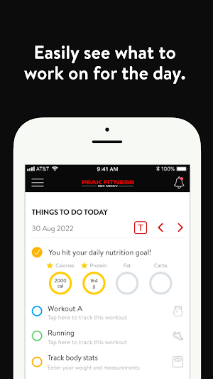Peak Fit Virtual Screenshot 2