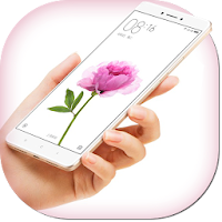Theme for Xiaomi Mi6