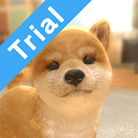 with My DOG (Trial Version)