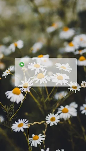 خلفيات للكتابة عليها Screenshot 2