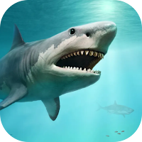 Shark Wallpaper