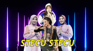 STECU STECU Screenshot 0
