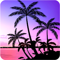 Palm Tree Wallpapers