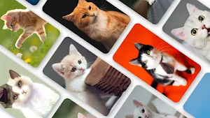 Kitten Wallpaper 2023 Screenshot 0