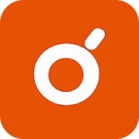 Formació Miró
