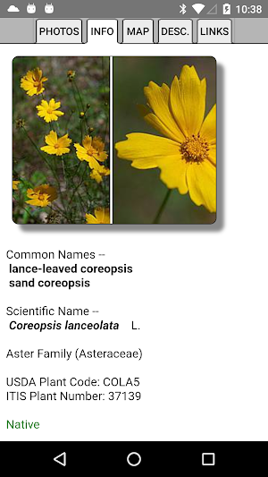 Delaware Wildflowers Screenshot 3