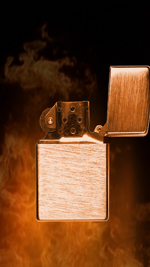 Bronze Zippo Lighter Screenshot 1