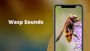 Wasp Sounds -  Insects Buzzing Sound Screenshot 0