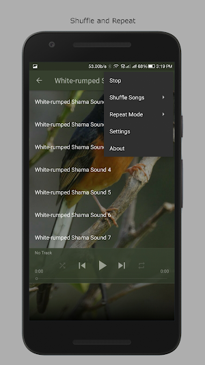 White-rumped Shama Sounds Screenshot 3