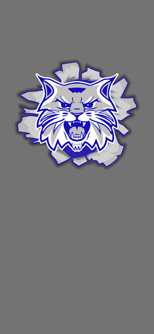 Franklin-Simpson Wildcats Screenshot 0