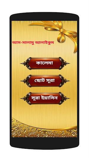 small surah audio offline Screenshot 0