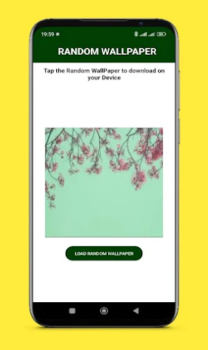 Ranwap: Random Wallpaper Screenshot 2