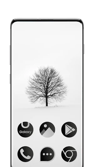Black & White Theme Screenshot 0