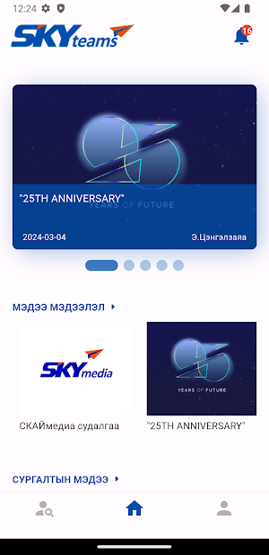 SKYteams Screenshot 1