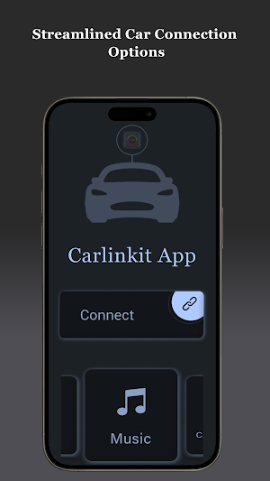 Carlinkit Screenshot 0