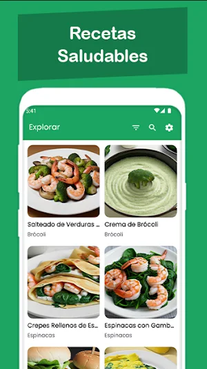 Recetas Saludables Online Screenshot 1