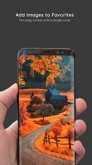 Autumn Wallpapers 8K ULTRA Screenshot 3