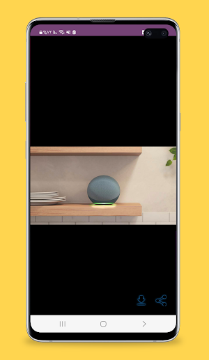 alexa echo flex guide Screenshot 1