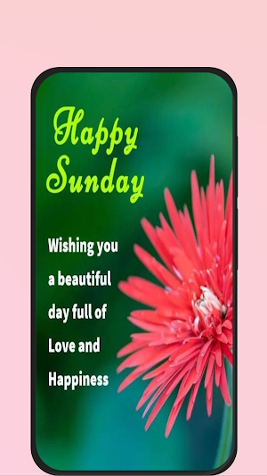 sunday quotes Screenshot 2