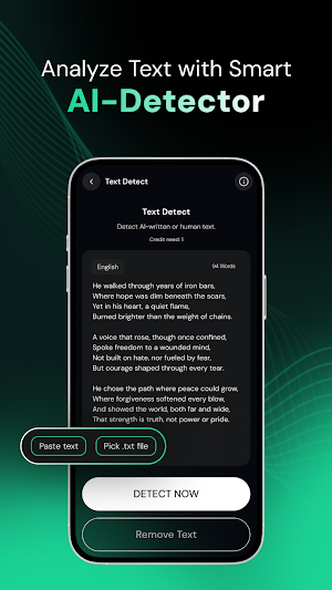 DetectEx AI- Content Detector Screenshot 2