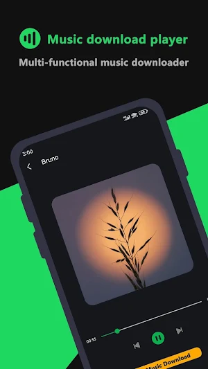 TubeCatcher：MP3 Music Download Screenshot 2