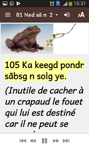 Proverbes en mooré vol. 3 Screenshot 1