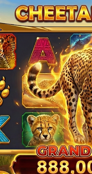 777 Running Leopard Screenshot 1