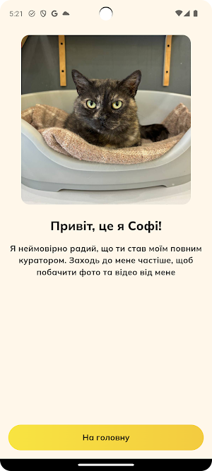 Домівка Врятованих Тварин Screenshot 2