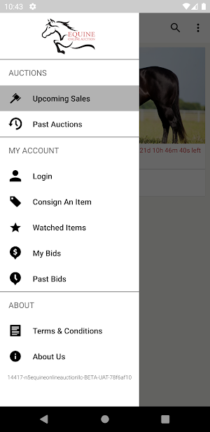 Equine Online Auction Screenshot 3
