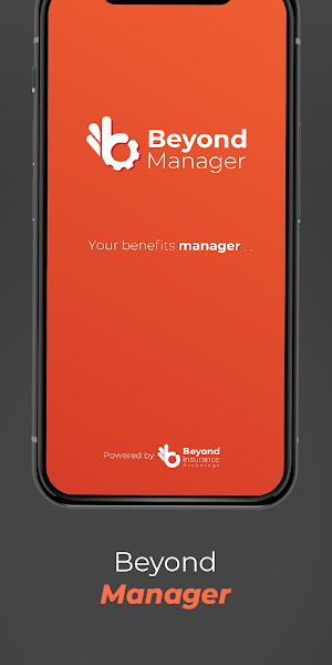 Beyond Manager Screenshot 0