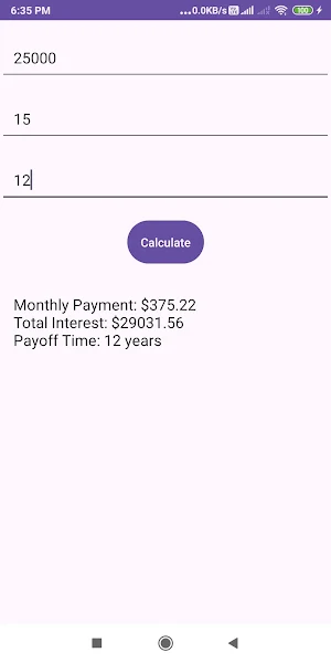 Debt Payoff Calculator Screenshot 3