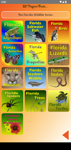 Tropical Fruit in Floridas Screenshot 2
