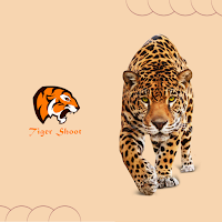 Tiger Best Social Videos