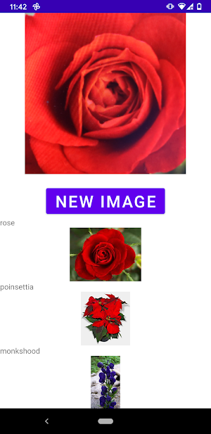 Flower identifier Screenshot 2