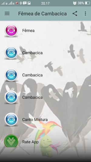 Canto Fêmea de Cambacica Screenshot 1