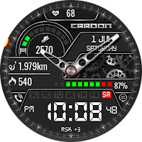 Hybrid CARBON Sport 2 Watch