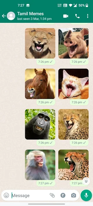 Animals Laughing Stickers Screenshot 0