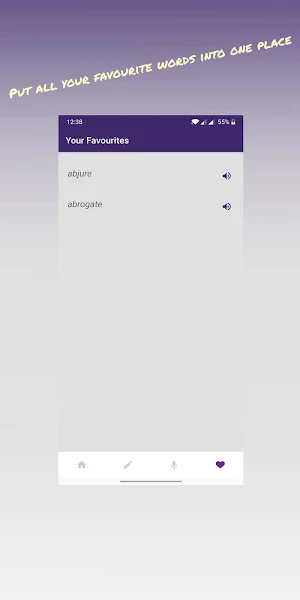 GRE Vocabulary Builder - Flash Screenshot 3