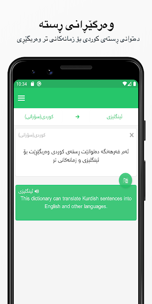 Rebin Dictionary Plus - Kurdish Screenshot 2