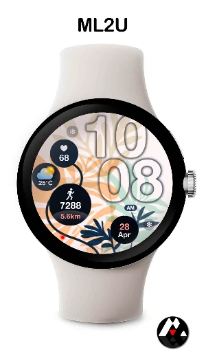 ML2U 244 Watch Face Screenshot 2