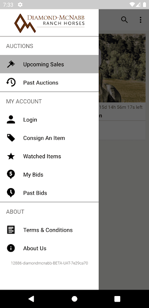 DiamondMcNabb Screenshot 1