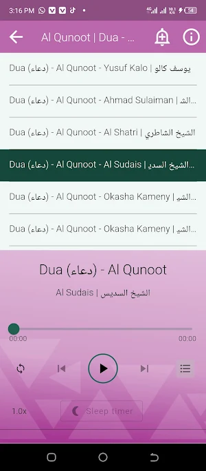 Mouad Douik Offline Mp3 Quran Screenshot 2