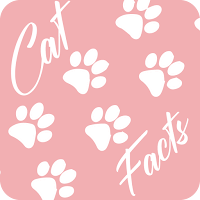 Interesting Cat Facts