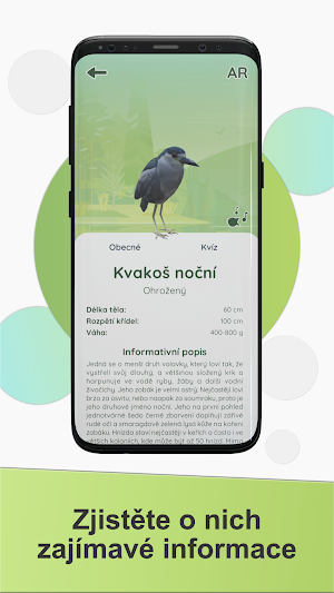 Ptactvo Vrbenských rybníků Screenshot 2