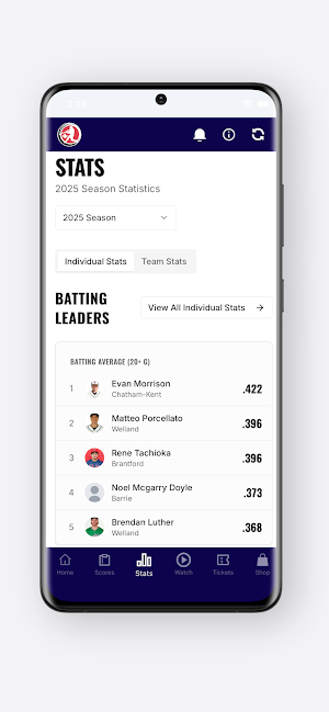 CBL - Canadian Baseball League Screenshot 3