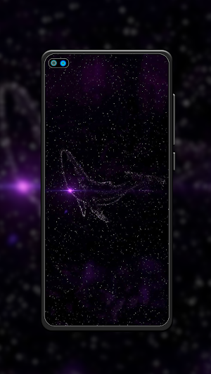 Whale Wallpaper HD Screenshot 1