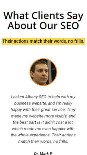 Albany SEO Services Company Screenshot 0