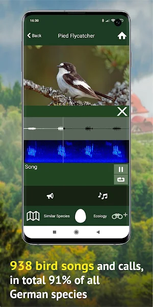All Birds Germany  - Photo Guide Screenshot 3