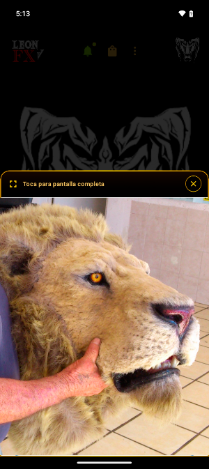 LEÓN FX Screenshot 1
